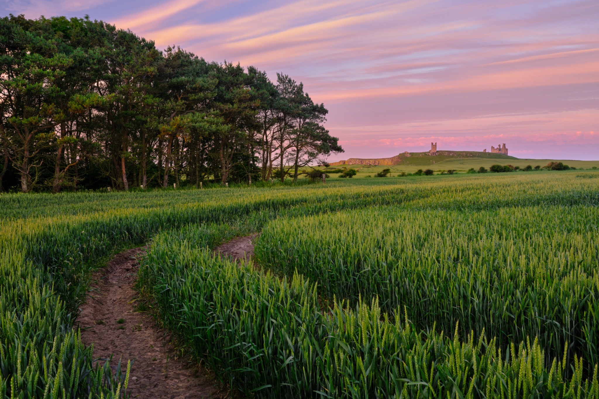 England, Northumberland, Dunstan Steads.